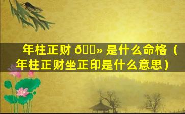 年柱正财 🌻 是什么命格（年柱正财坐正印是什么意思）